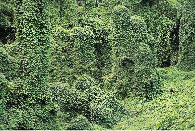 PS CEO谈游戏跳票：多等几天总比赶工要强