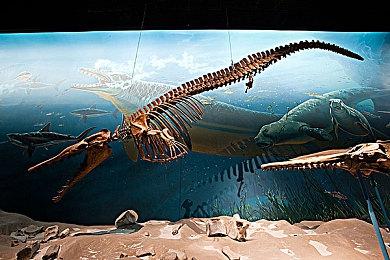 犯罪剧情开放世界游戏《达愿福神社》曝光