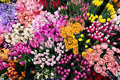 经典模拟游戏《矮人要塞》12月6日登陆Steam 售价30刀